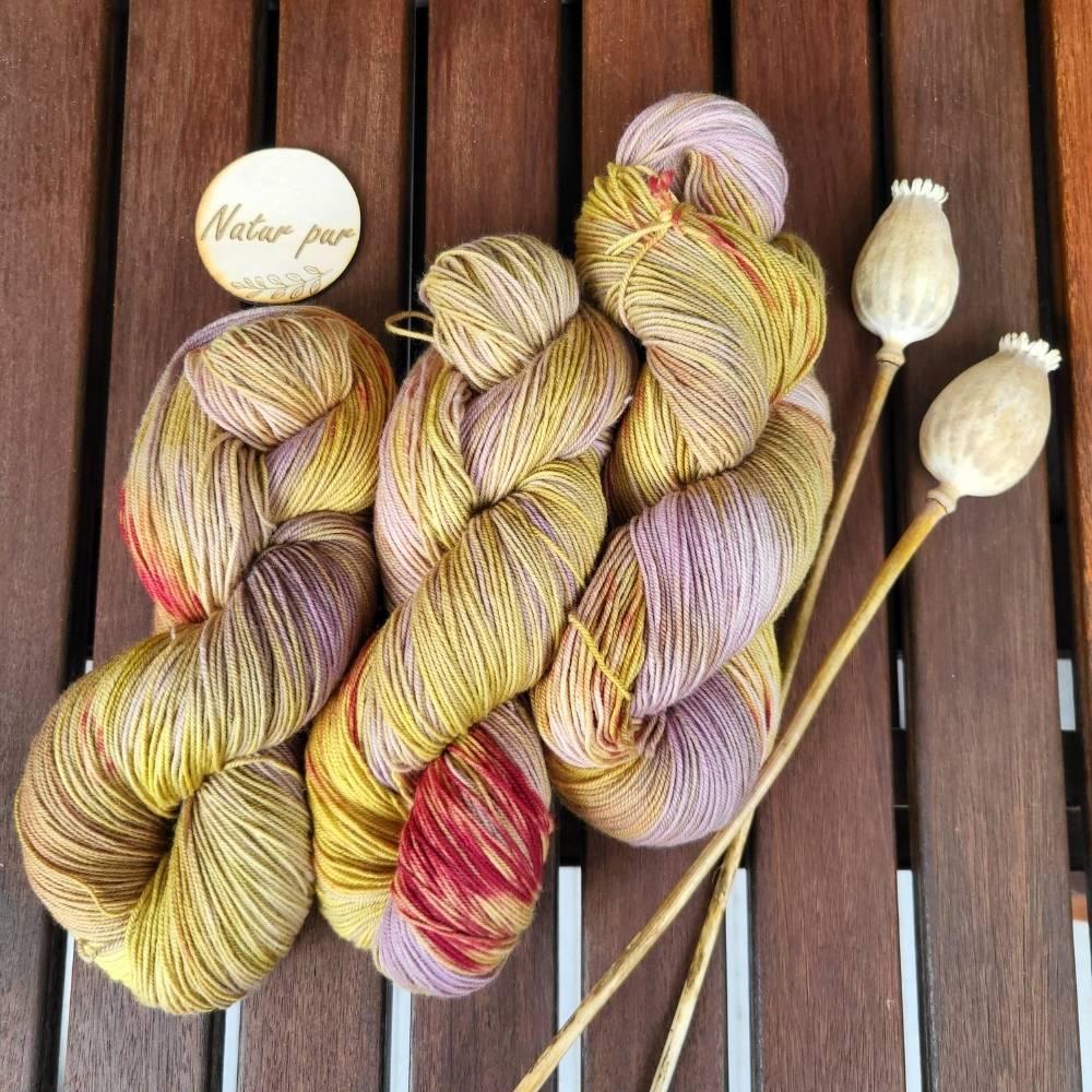 Harmonia Strickset mit Paula – StrickFisch (groß)